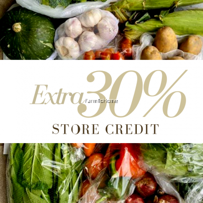 FREE Extra 30% Store Credit (RM390 Store Credit for RM300 Only) 