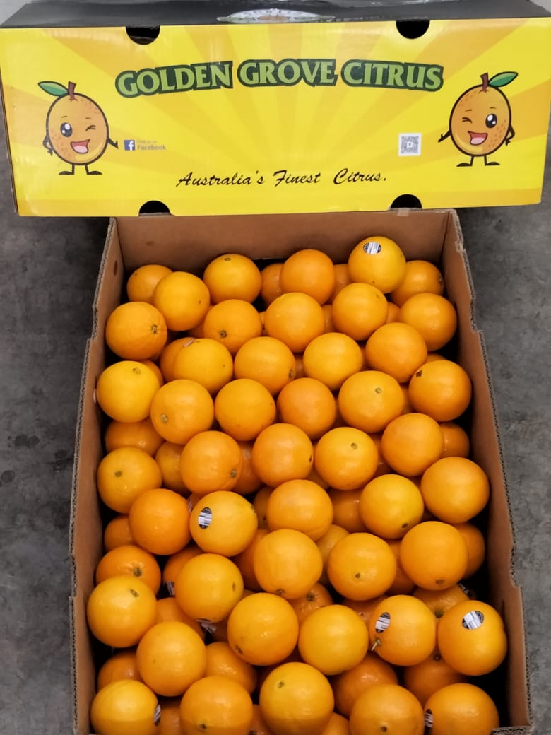 Australian Naval Orange S size